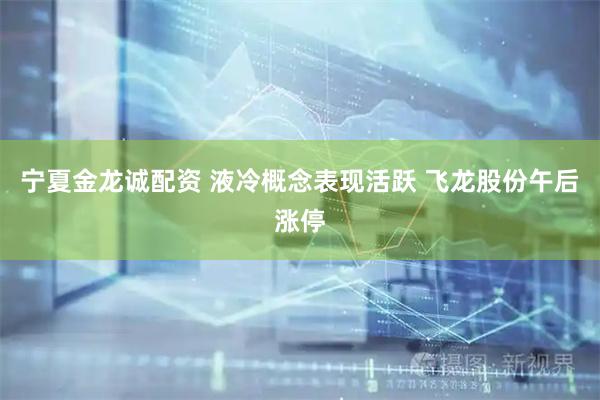 宁夏金龙诚配资 液冷概念表现活跃 飞龙股份午后涨停